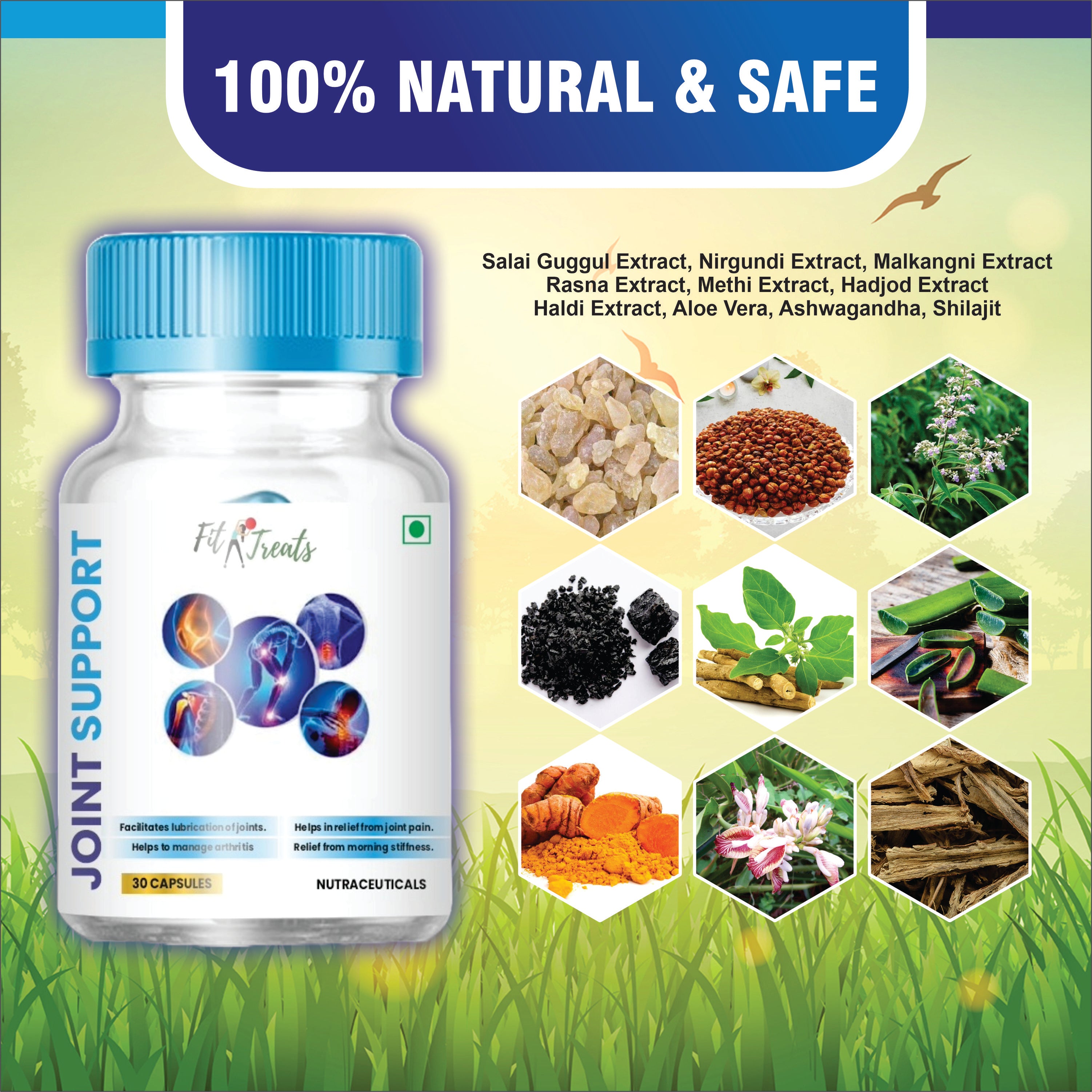 Joint Pain Supplement