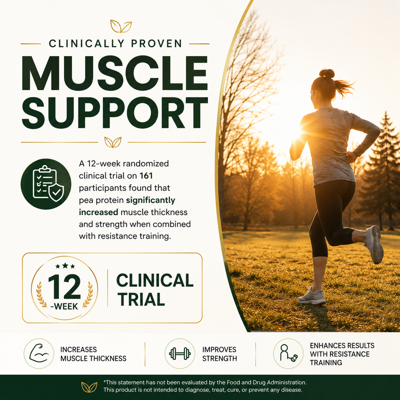 Clinically Proven Muscle Support 
