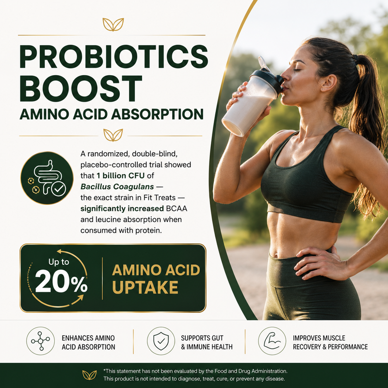 Probiotics Boost Amino Acid Absorption