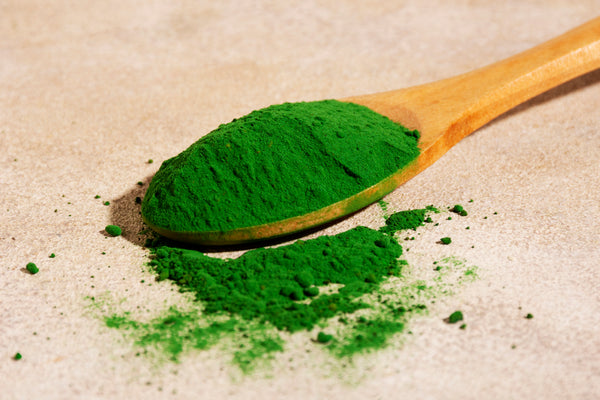 veganomega - ingredient_algae