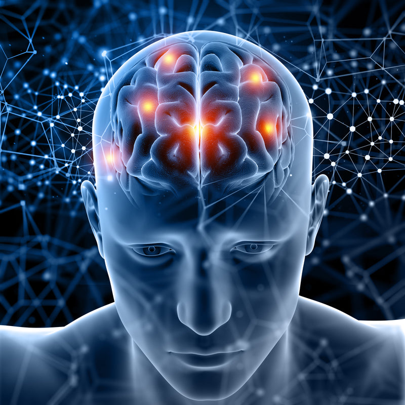 fishoil - benefit_brain