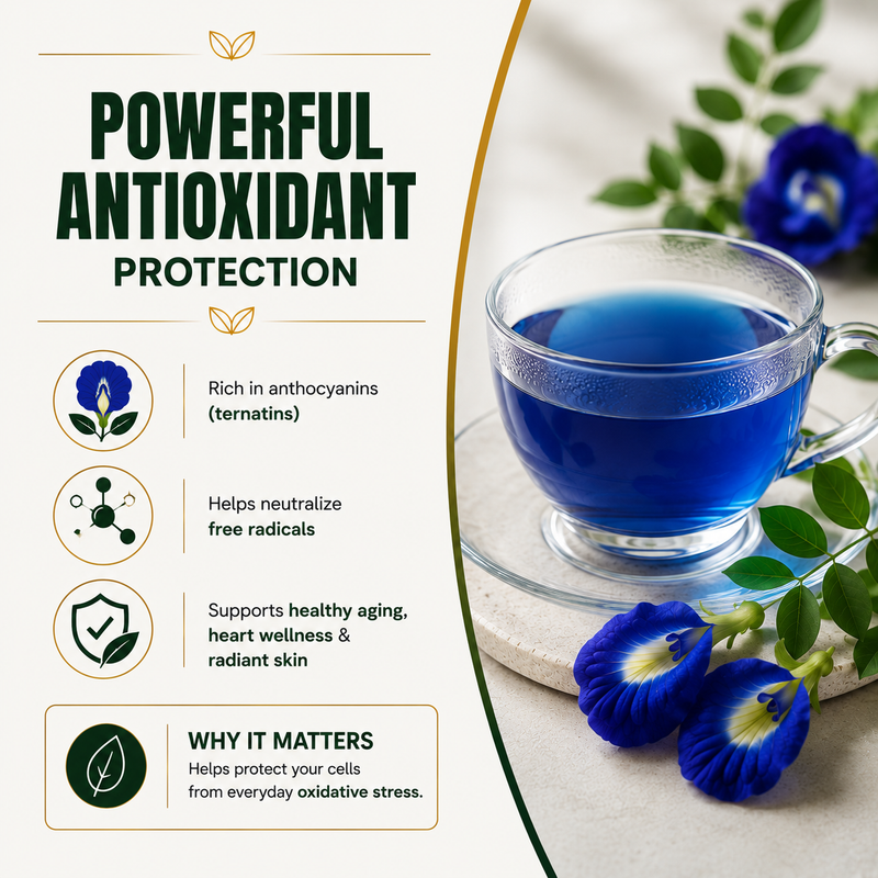 Antioxidant Activity