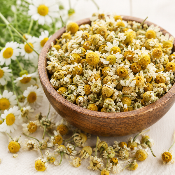 chamomile - ingredient_flower