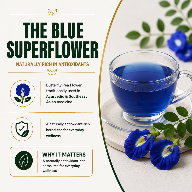 Healthy Aging Support