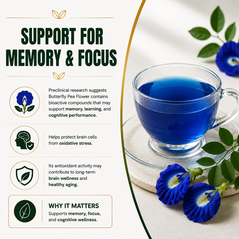 Memory & Cognitive Function