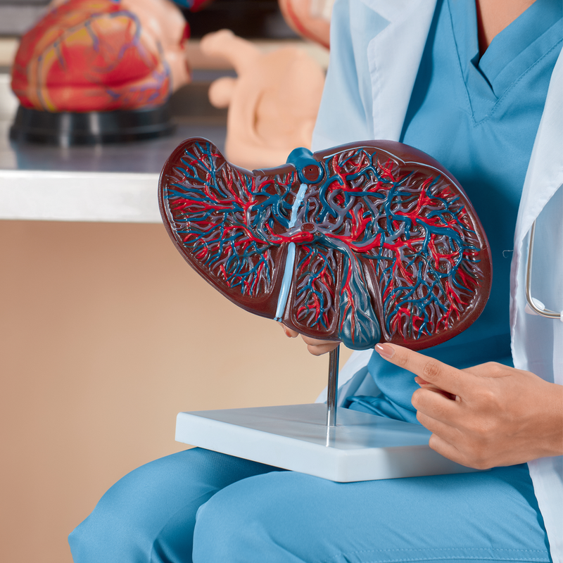 liverdetox - benefit_liverhealth