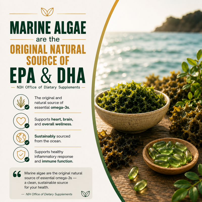 Original Source of EPA & DHA