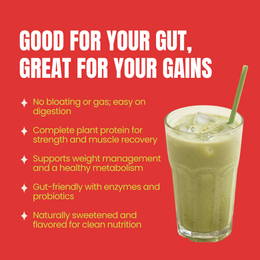 Plant Protein Powder — Vegan Protein for Muscle & Weight Management