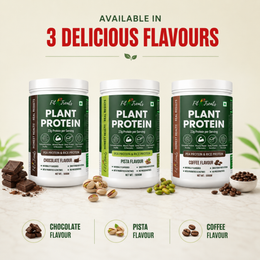 Plant Protein Powder — Vegan Protein for Muscle & Weight Management
