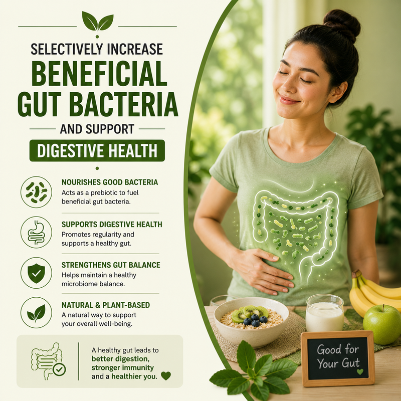 Gut Bacteria Support