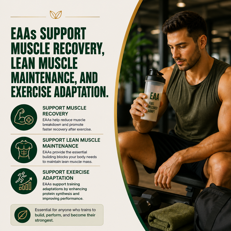 Recovery & Exercise Adaptation